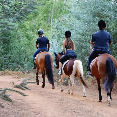Equitare Rural Na Serra De Lousa