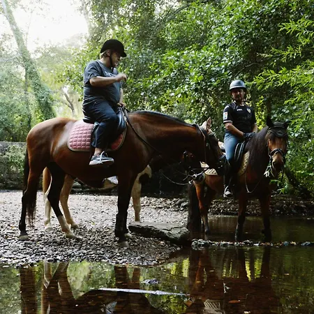 Equitare Rural Na Serra De Lousã Apartamento Miranda do Corvo
