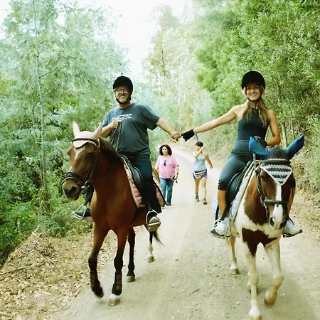 Equitare Rural Na Serra De Lousa