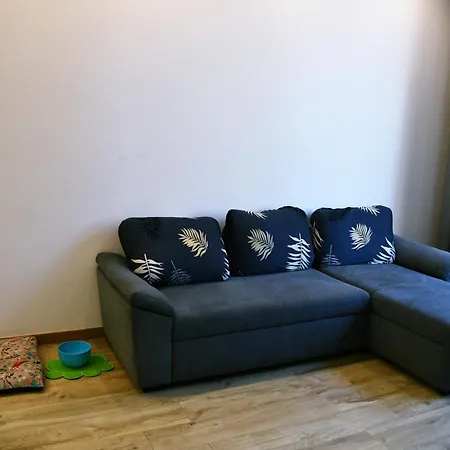 Equitare Rural Na Serra De Lousa Apartment Miranda do Corvo
