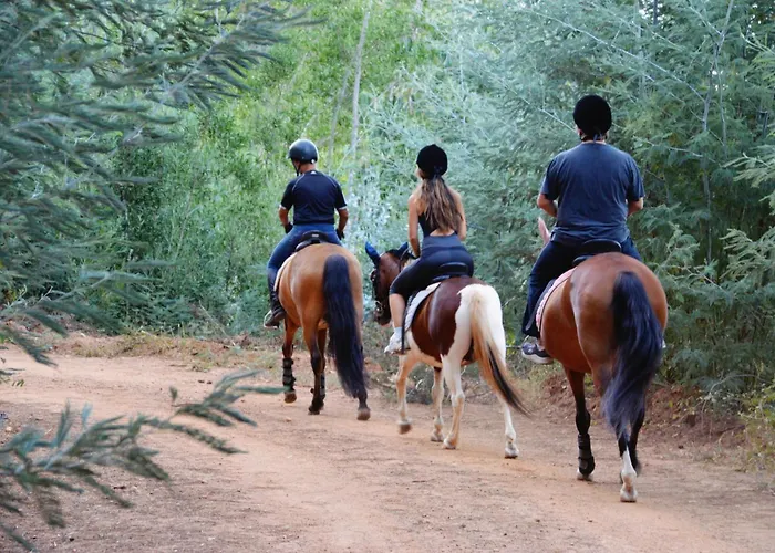 Equitare Rural Na Serra De Lousã