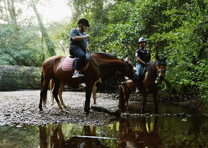 Equitare Rural Na Serra De Lousã Apartamento Miranda do Corvo