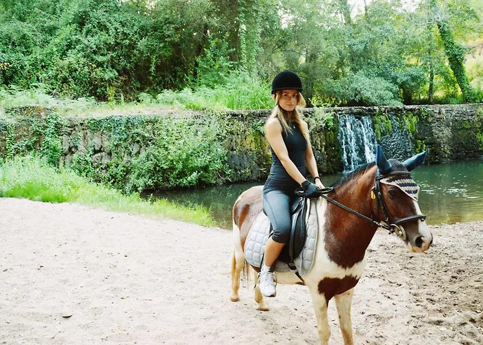 Equitare Rural Na Serra De Lousã Apartamento Miranda do Corvo