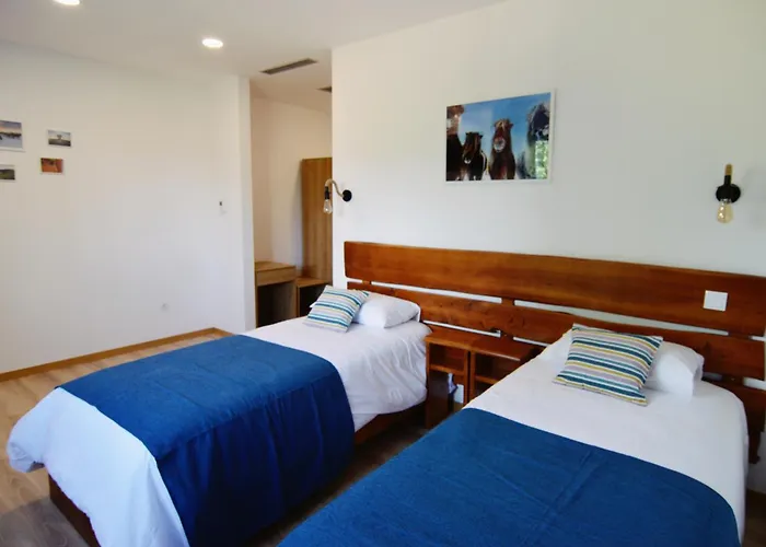 Equitare Rural Na Serra De Lousã Apartamento