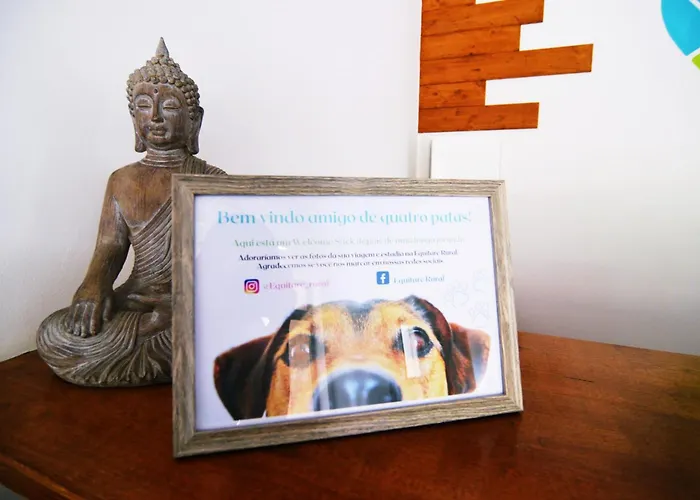 Apartamento Equitare Rural Na Serra De Lousã *