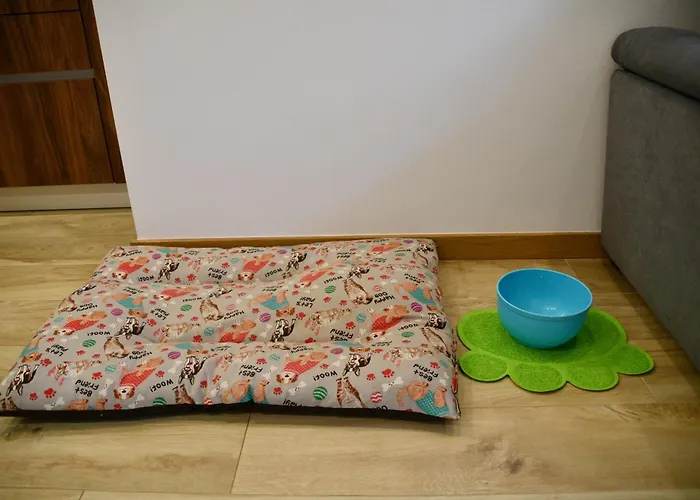 Equitare Rural Na Serra De Lousã