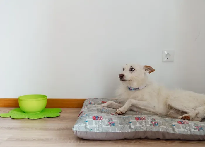 Equitare Rural Na Serra De Lousã Miranda do Corvo