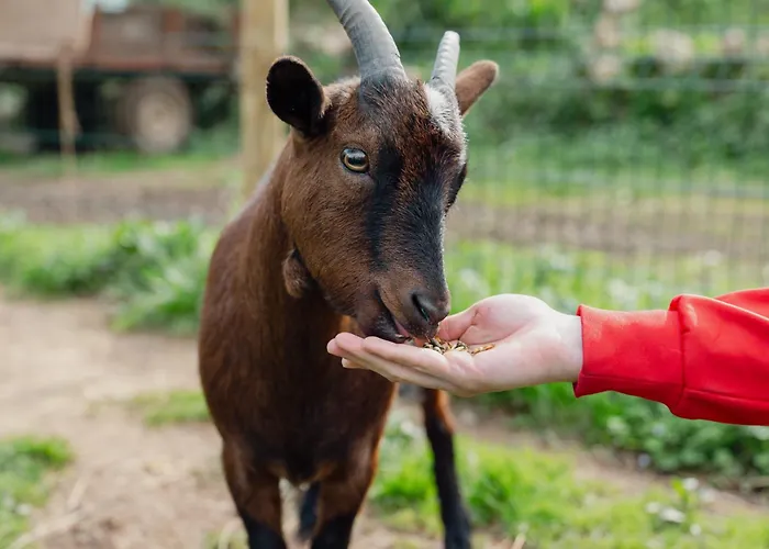 Apartamento Equitare Rural Na Serra De Lousã *